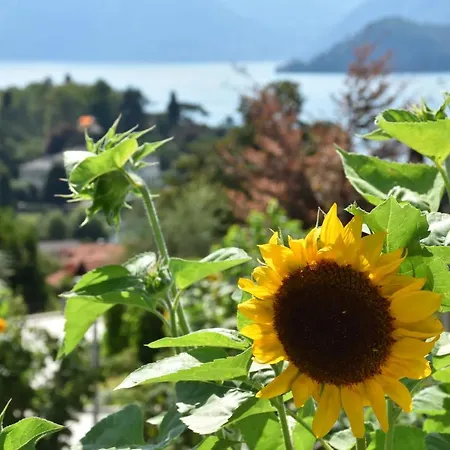 Κατάλυμα σε φάρμα Il Colle