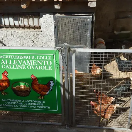 Il Colle * Μπελάτζιο