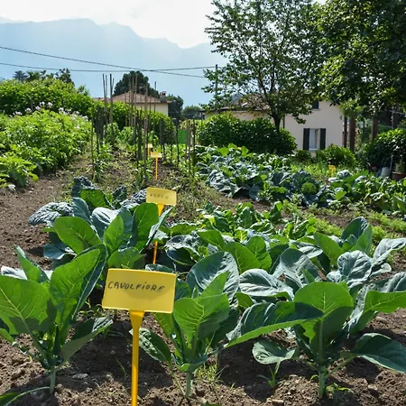 Il Colle Bellagio