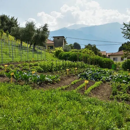 Il Colle * 贝拉焦