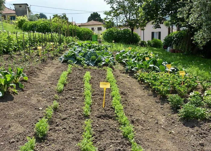 Il Colle Gospodarstwo agroturystyczne Bellagio