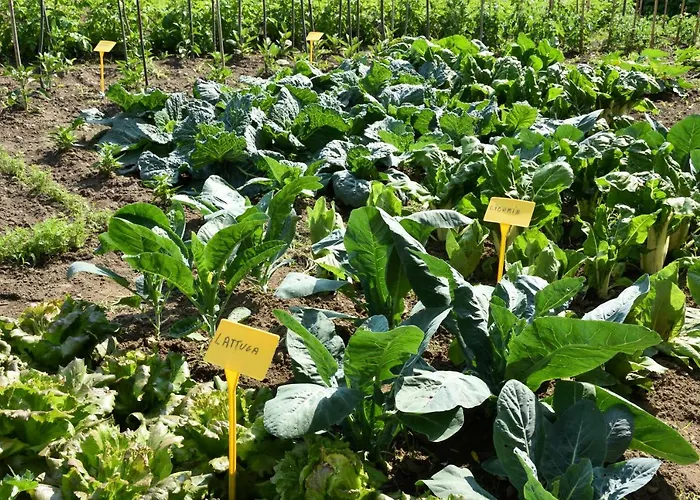 Il Colle Gospodarstwo agroturystyczne