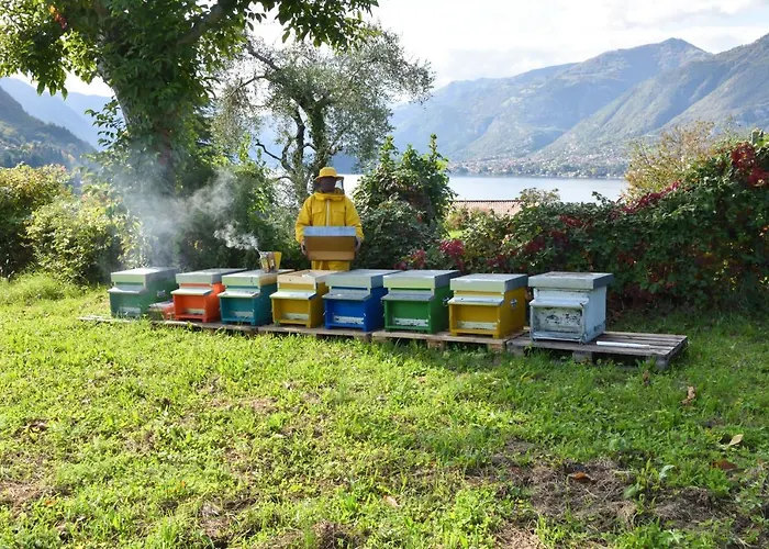Il Colle Gospodarstwo agroturystyczne *