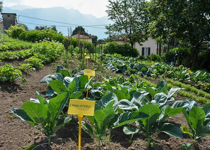 Il Colle Bellagio