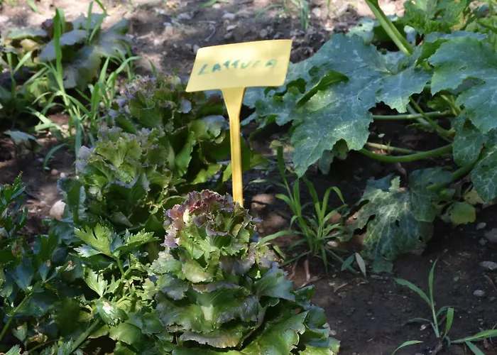 Gospodarstwo agroturystyczne Il Colle