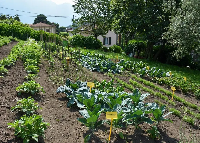 Il Colle Bellagio