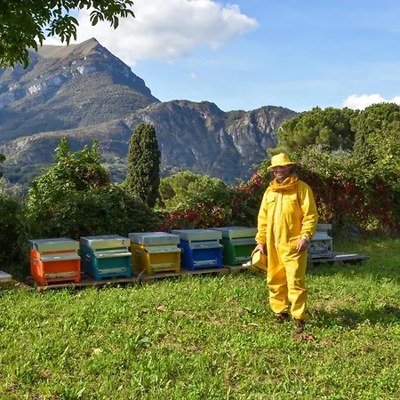 Feriegård Il Colle Bellagio