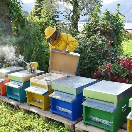 Il Colle Feriegård Bellagio