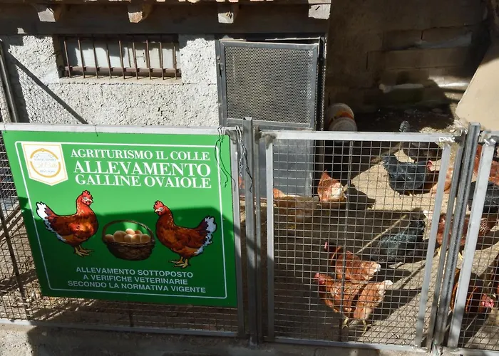 Il Colle * Μπελάτζιο