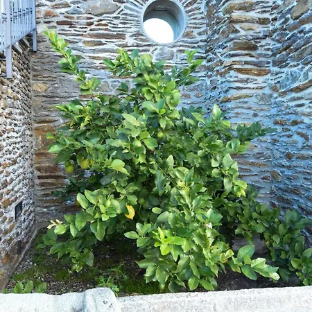 Фермерский дом Il Colle *