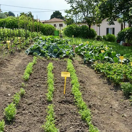 Il Colle Farm stay Bellagio