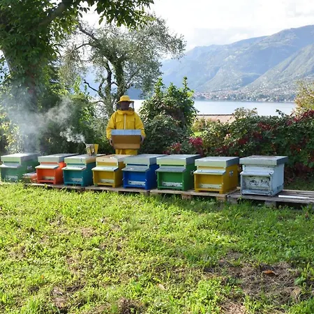 Il Colle Farm stay *