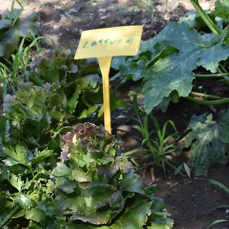 Farm stay Il Colle